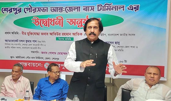 image-here